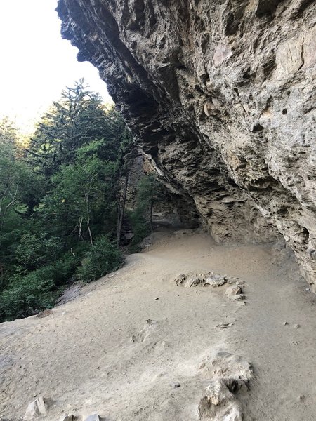 Alum Cave Bluffs