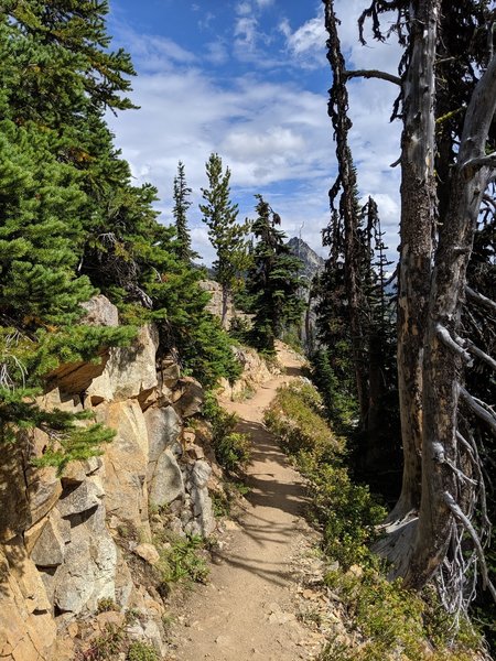 Maple Pass Trail