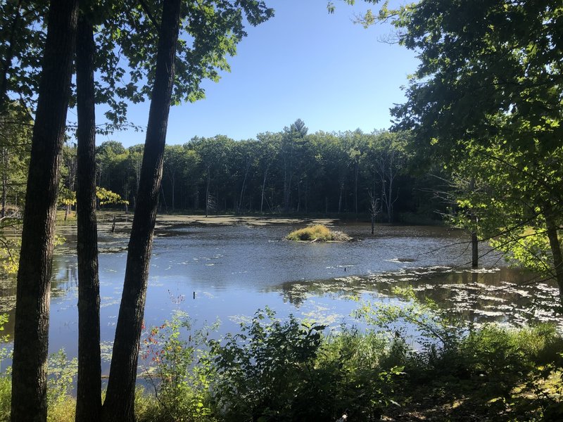 View from the Sweet Trail.