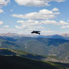 Bird catching air currents at the summit.