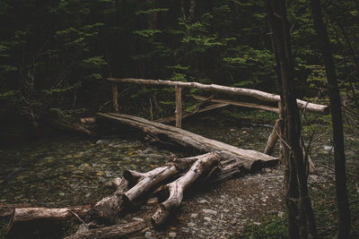 One of the many makeshift bridges along the trail.