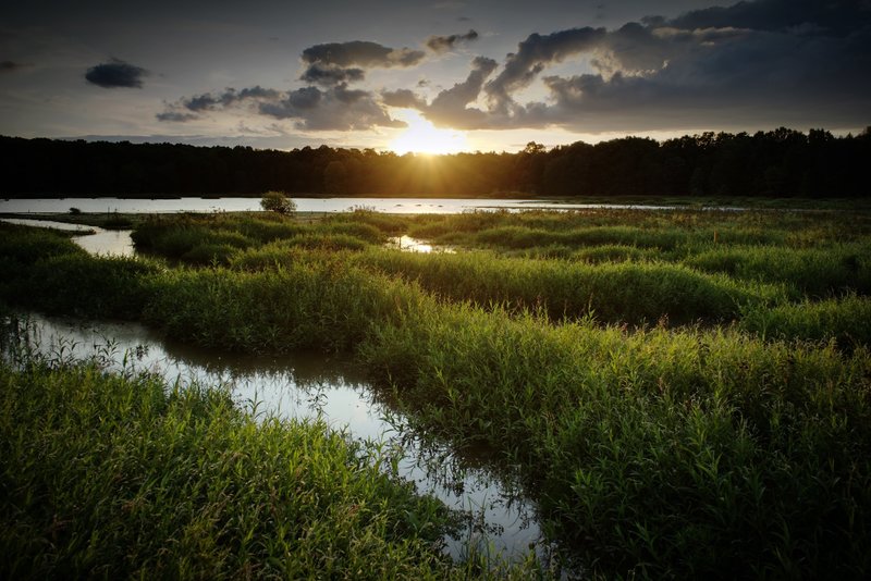 Sunset looking across Huntley Meadows