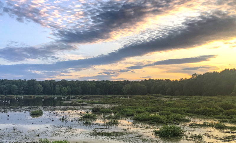 A colorful Huntley Meadows evening