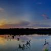 A great night at Huntley Meadows for wildlife and landscape photography