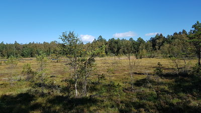 Adalstjern fra sør.