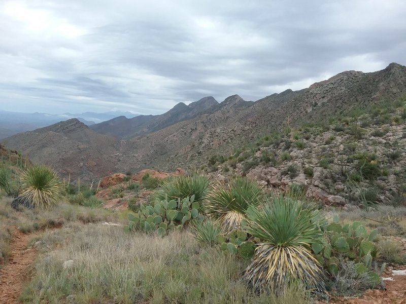 On top of the Aztec Caves.