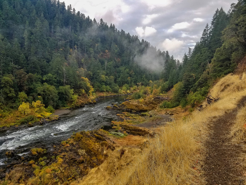 Small cloudy patches just hanging in the trees and above the river.