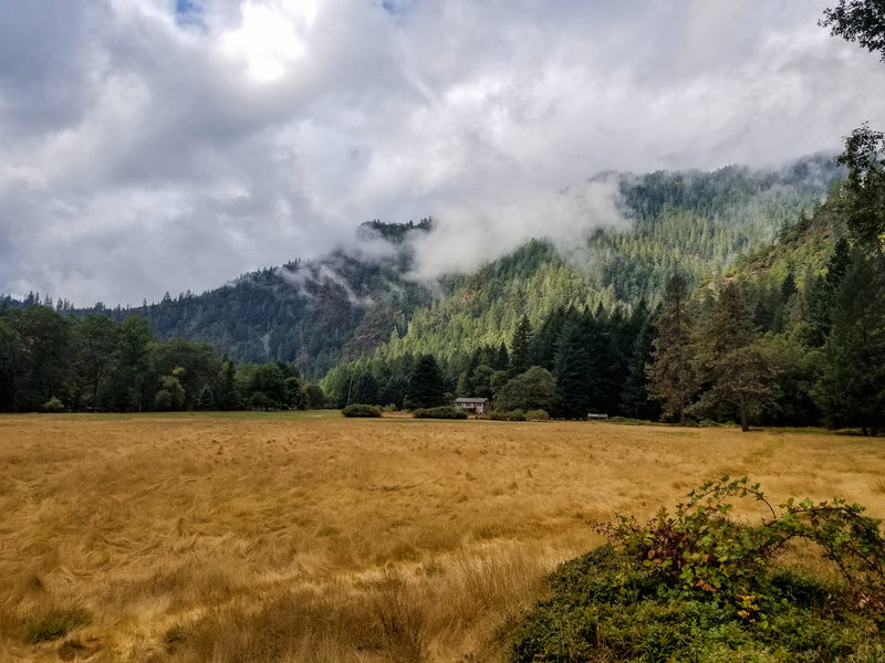 Open meadow near Paradise Lodge.