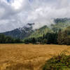 Open meadow near Paradise Lodge.