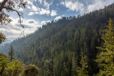 Early morning on the Mule Creek Trail looking across the West Form Mule Creek valley.