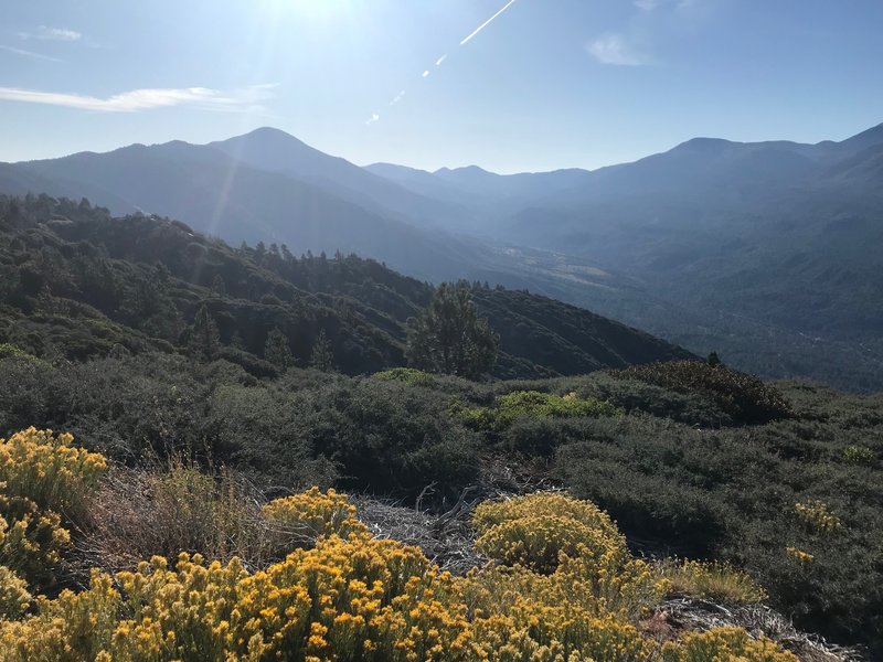 Great view in the morning looking east.