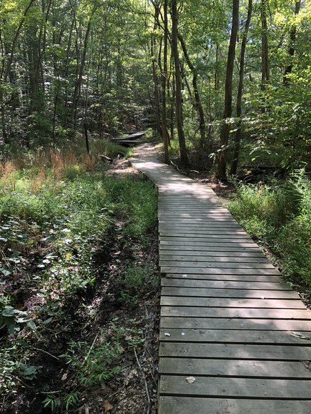 One of the many boardwalks along the Basin Trail.