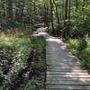 One of the many boardwalks along the Basin Trail.