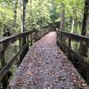 Boardwalks over the water.