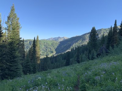Just before Spaulding Basin and looking back down the trail behind you.