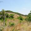 Balcones Canyonlands National Wildlife Refuge