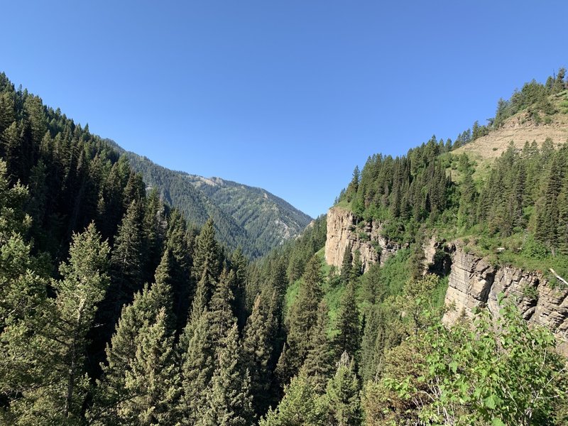 Looking back down the canyon after the first initial climb after crossing the creek and heading to the NE.