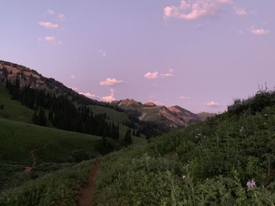 More of the buffed out singletrack after a steep climb out of a small creek crossing, looking back down the trail.