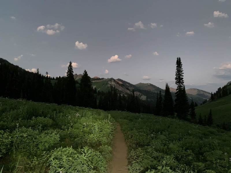 Early morning, looking back down the trail after a long sustained climb.