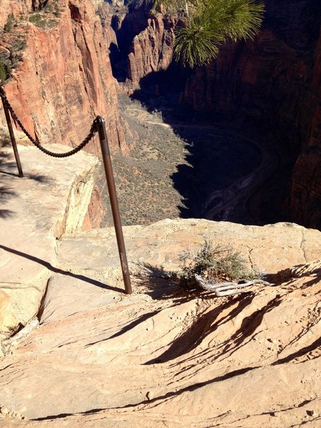 Angels Landing