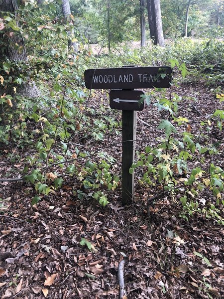 This sign is along an overgrown (possibly closed) section of the Pohick Overlook Trail. Go down the steep hill immediately after the sign to get to the good part of the trail.