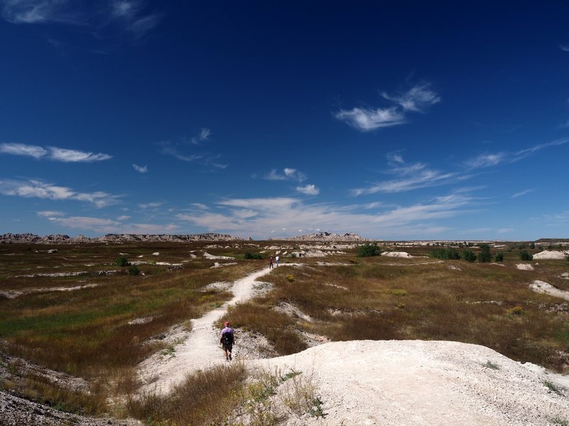 Along the Medicine Root Trail.