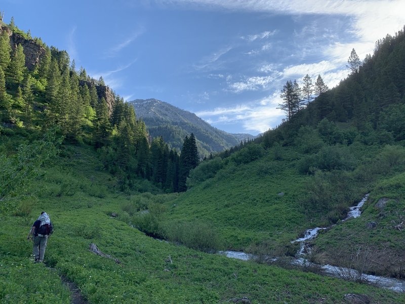 Almost to the Garden Canyon junction. Plenty of water access along this trail!