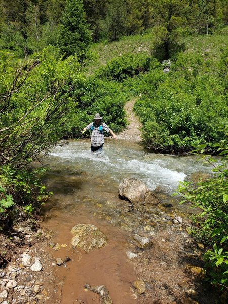 One of several creek crossings. Can be dangerous in the spring and early summer.