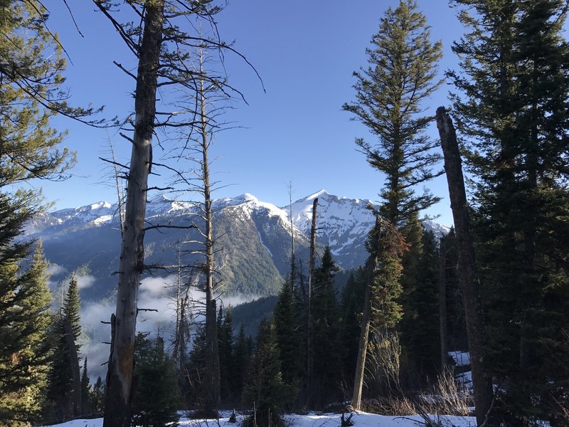 Memorial Day weekend, looking through the trees to Mt. Baird.