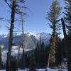 Memorial Day weekend, looking through the trees to Mt. Baird.