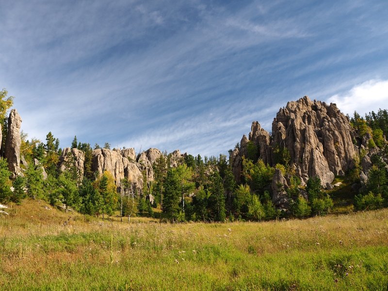 A meadow along the Little Devils Tower Trail #4.