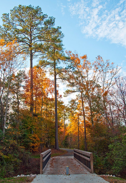 Neuse River Trail