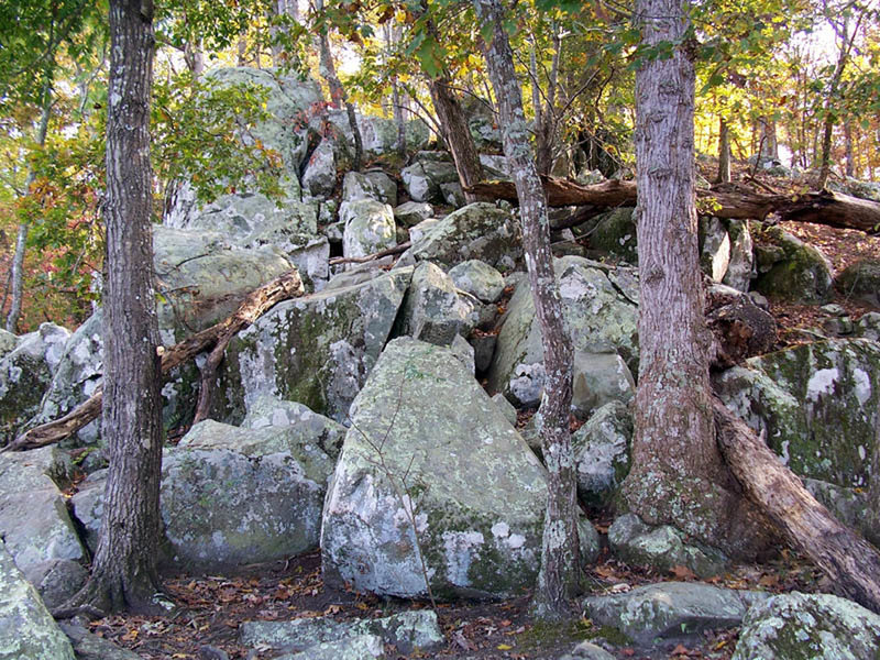 Fall Mountain Trail, Morrow Mountain State Park.