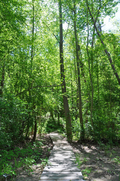 House Creek Greenway near Blue Ridge Road.