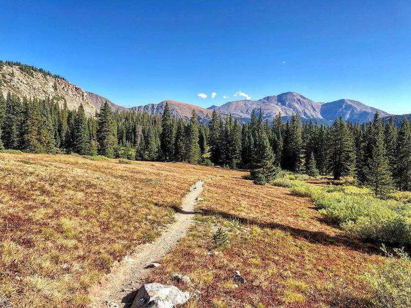 Ptarmigan Lake Trail