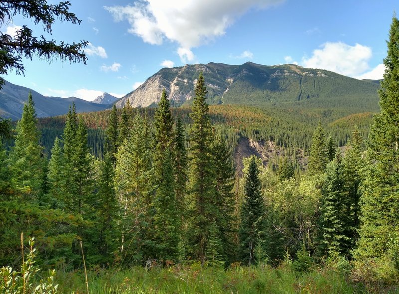 Mountains come into view along the forested North Boundary Trail, as the trail climbs.