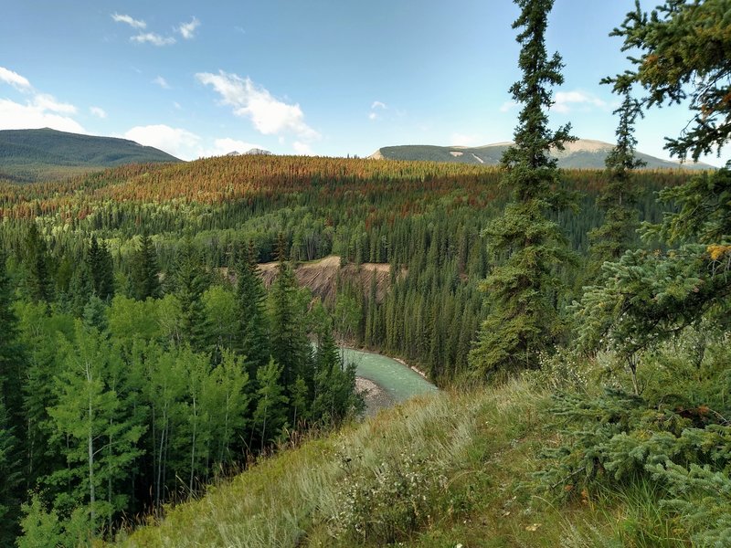 The Snake Indian River below, amid the fir forests and mountains of the wilderness through which the North Boundary Trail runs.