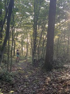 A few moments before "Frankenstein's Forehead"