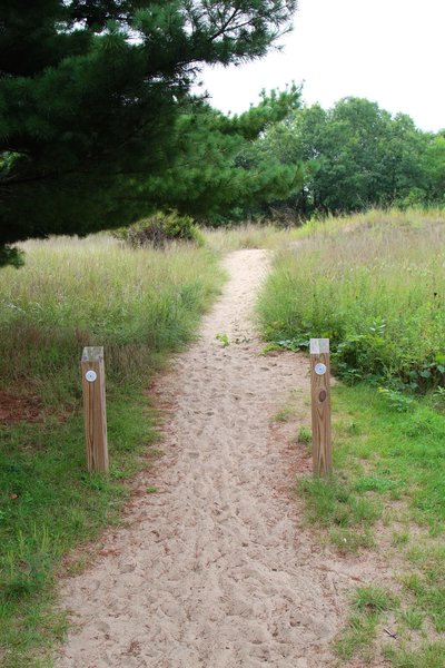 Begin of Dune Ridge Trail