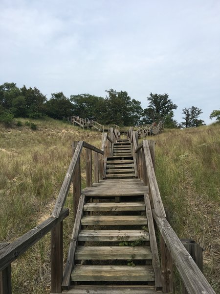 mt tom stairs