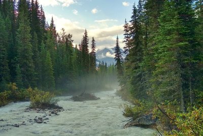 Morning mist and mountains along the Blaeberry River, hiking the David Thompson Heritage Trail.