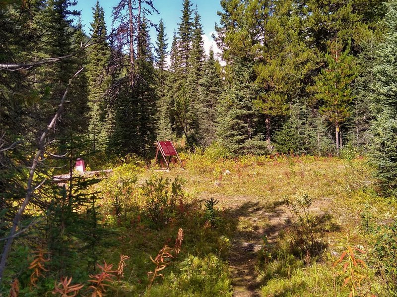 Arriving at Howse Pass, a National Historic Site, from the south on the David Thompson Heritage Trail.