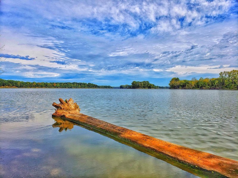 Overlooking the lake