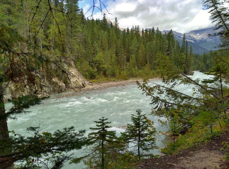 Blaeberry River, looking upstream, below Thompson Falls Trail.