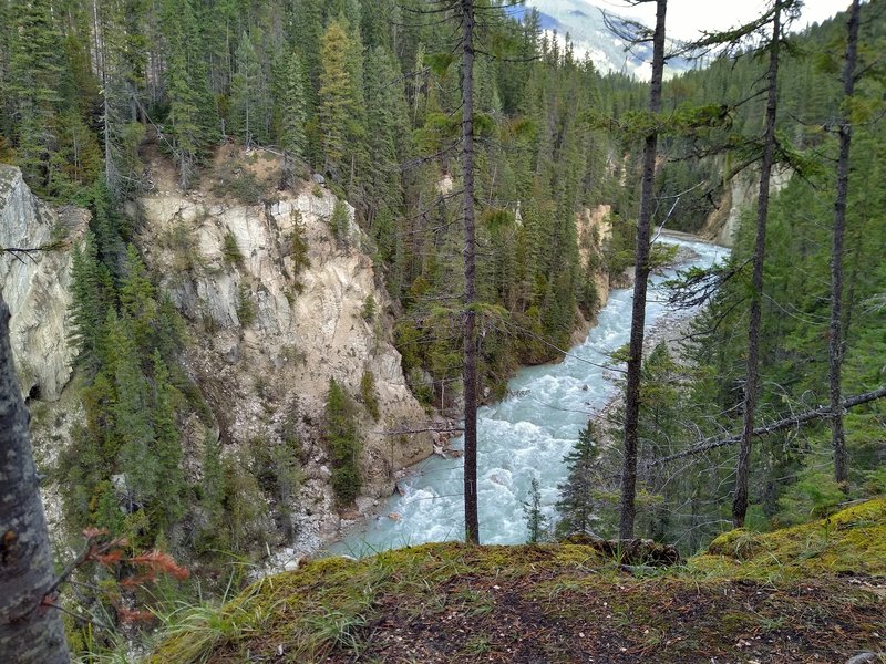 The Blaeberry River in its gorge, seen from an overlook on the Thompson Falls Trail.