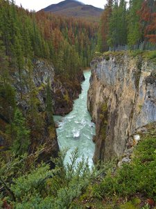 The Sunwapta River is in a gorge below Sunwapta Falls, on its way to Lower Sunwapta Falls.