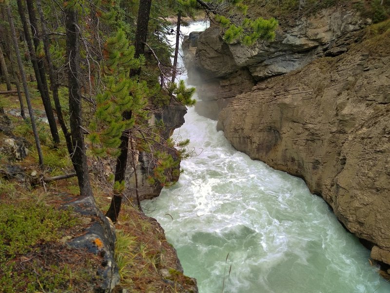 The top falls of Lower Sunwapta Falls plunges into a gorge leading to the next major drop.