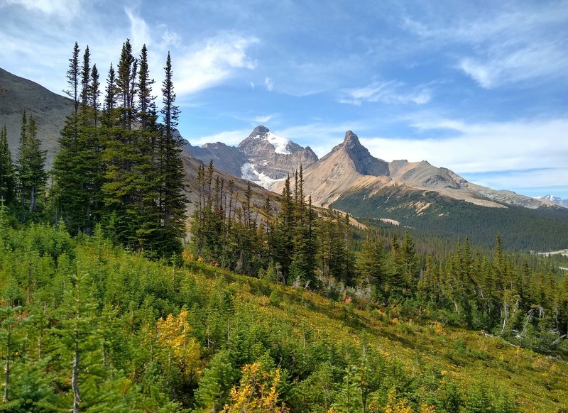 Mount Athabasca (left center) and Hilda Peak (right center) come into view as Parker Ridge Trail climbs.