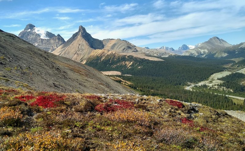 Mount Athabasca (left), Hilda Peak (center left), and Wilcox Peak (right) are seen to the west from Parker Ridge Trail.