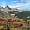 Mount Athabasca (left), Hilda Peak (center left), and Wilcox Peak (right) are seen to the west from Parker Ridge Trail.